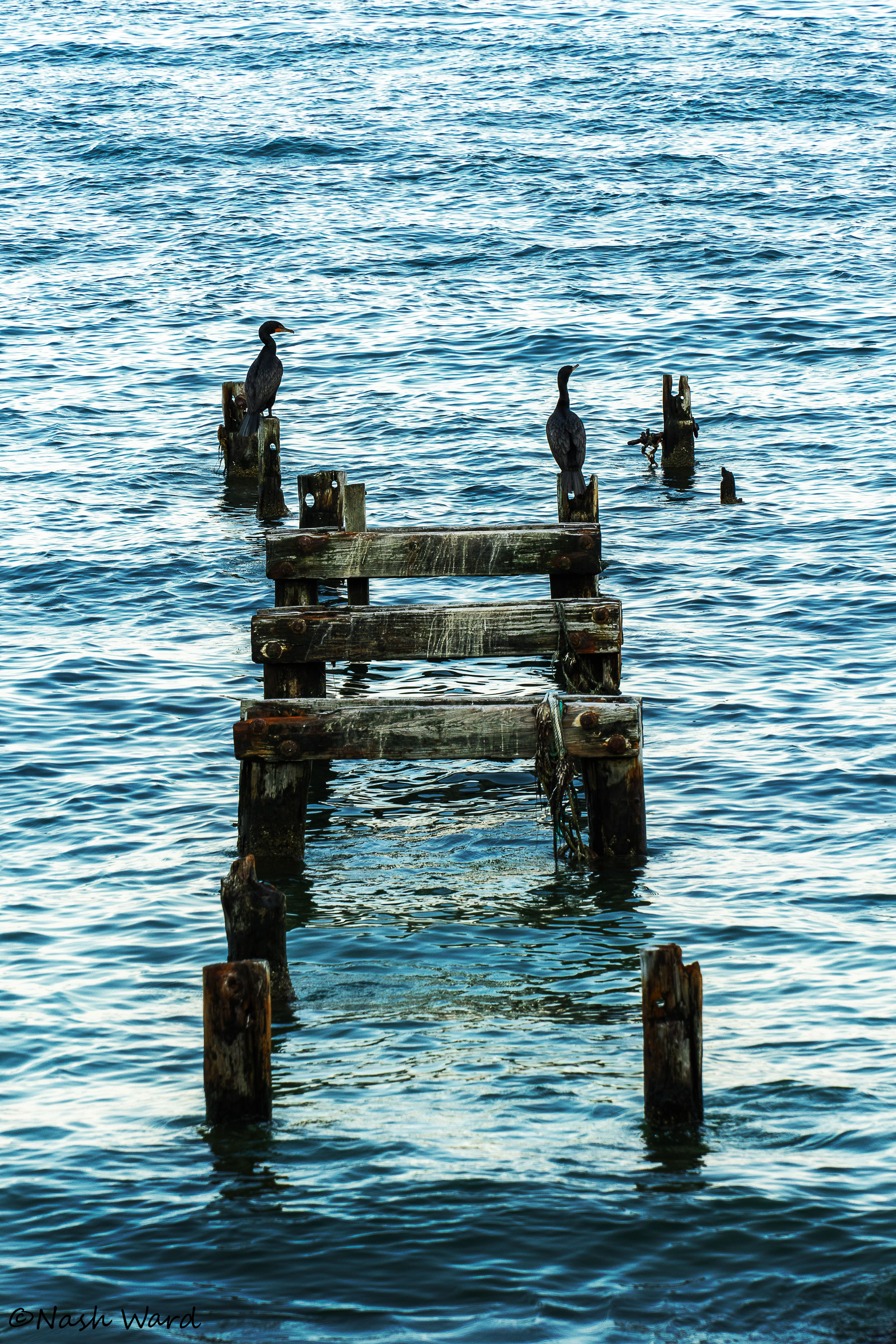 Old dock